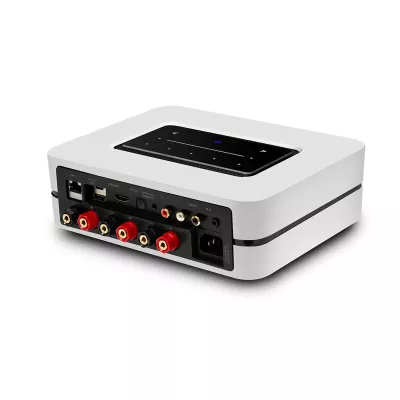 Bluesound Powernode N331 in Geneva | Digistore.ch